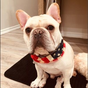 Meet your Posher, Lorraine